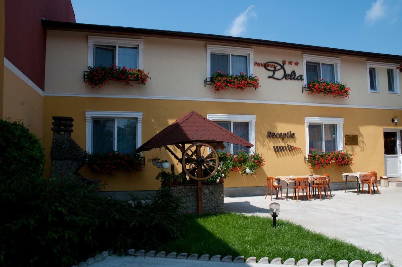 Delia Timisoara