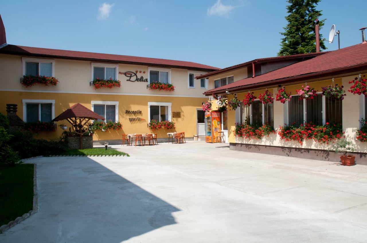 Delia 3* Timisoara