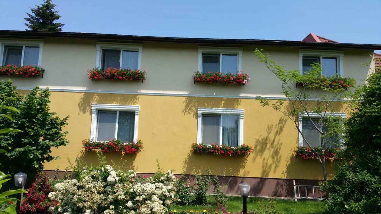 Delia Timisoara