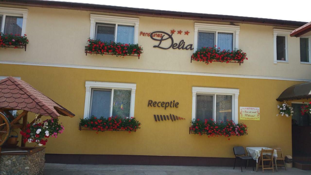 Delia Guest house Timisoara