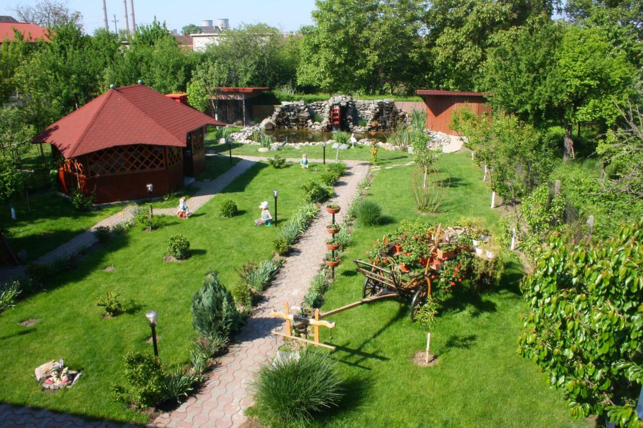 Delia Timisoara