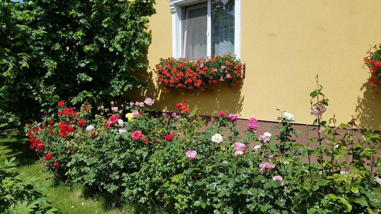 Guest house Delia 3*
