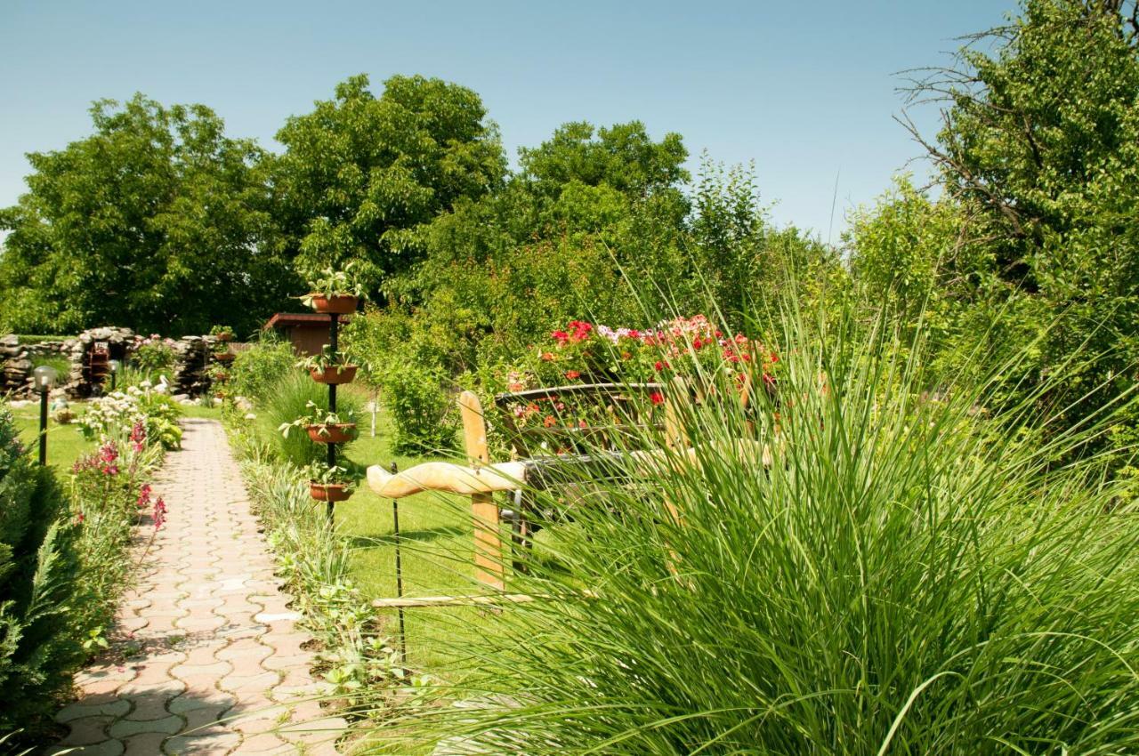 Delia Guest house 3*