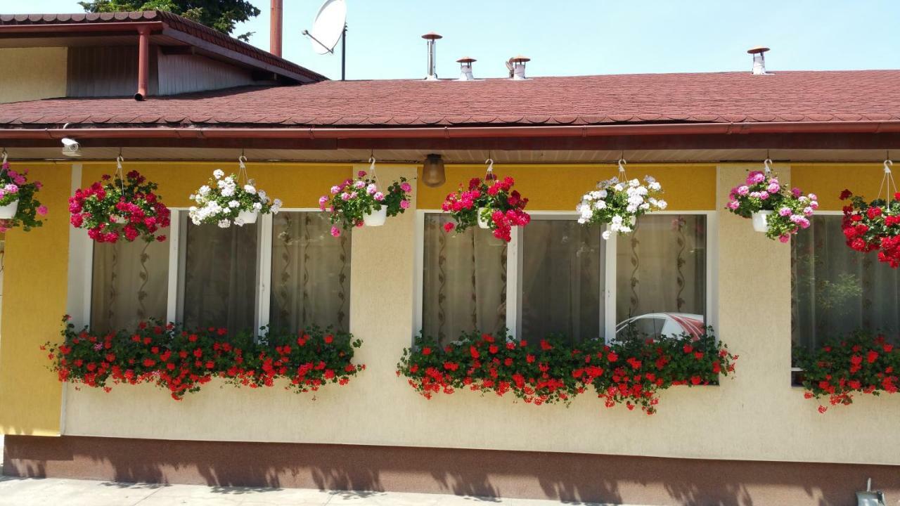 Delia Guest house 3*