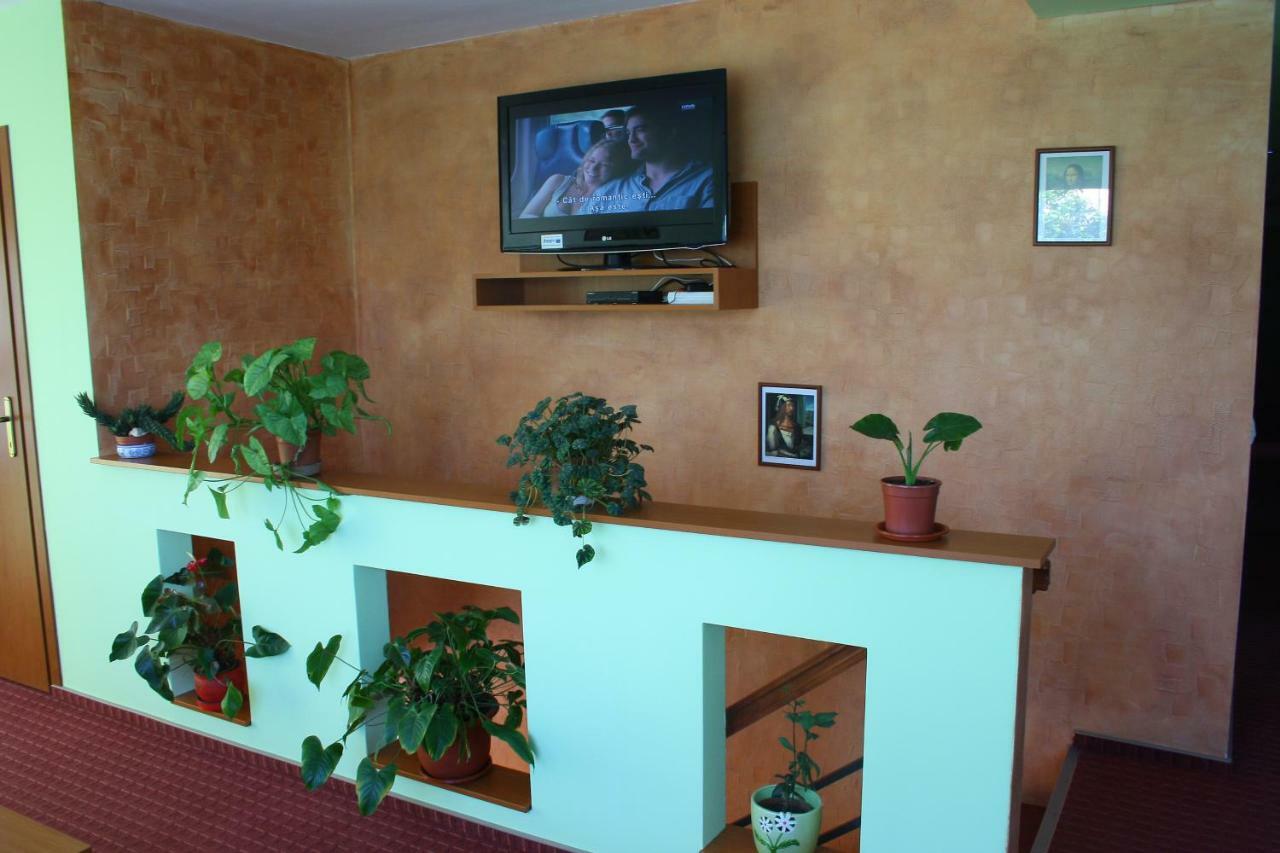 Delia Guest house