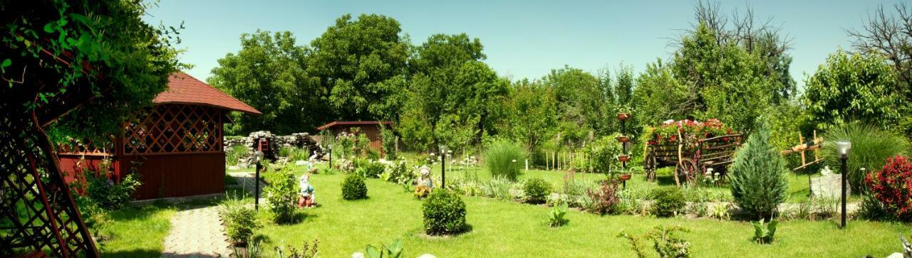 Delia Guest house Timisoara