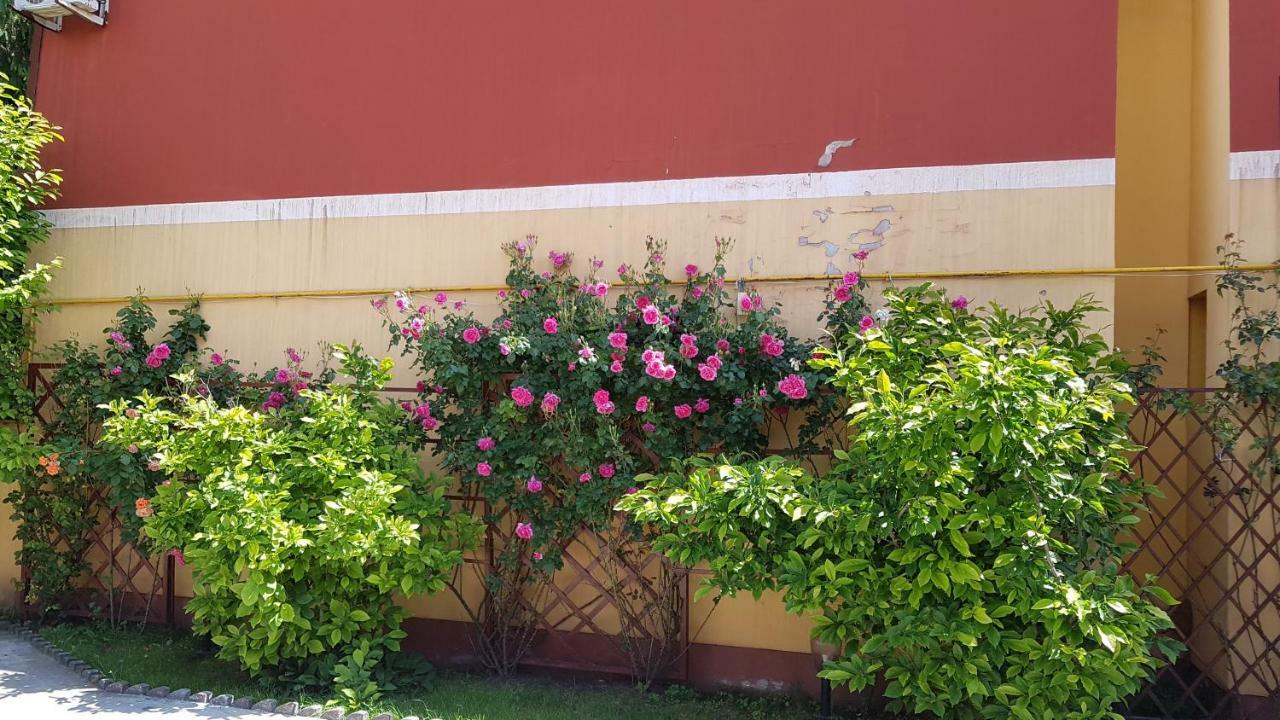 Guest house Delia 3*