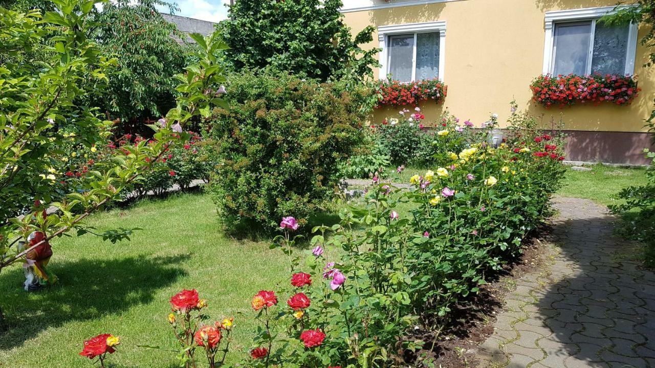 Guest house Delia Timisoara