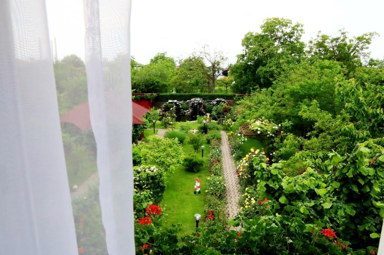 Delia Guest house